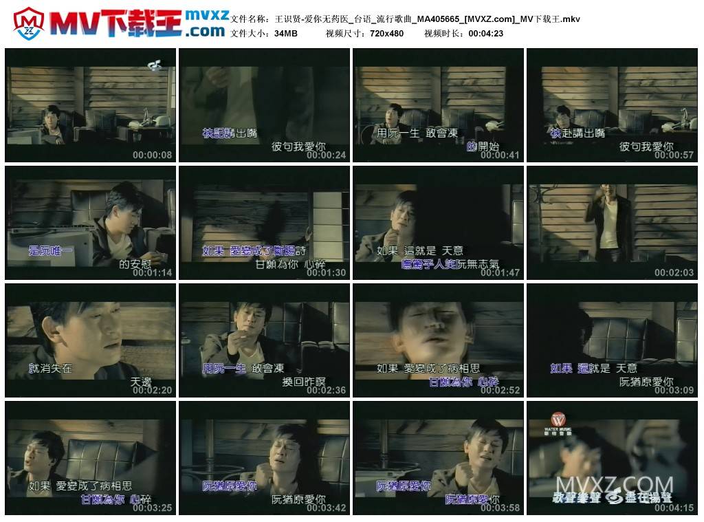 王识贤-爱你无药医_台语_流行歌曲_MA405665